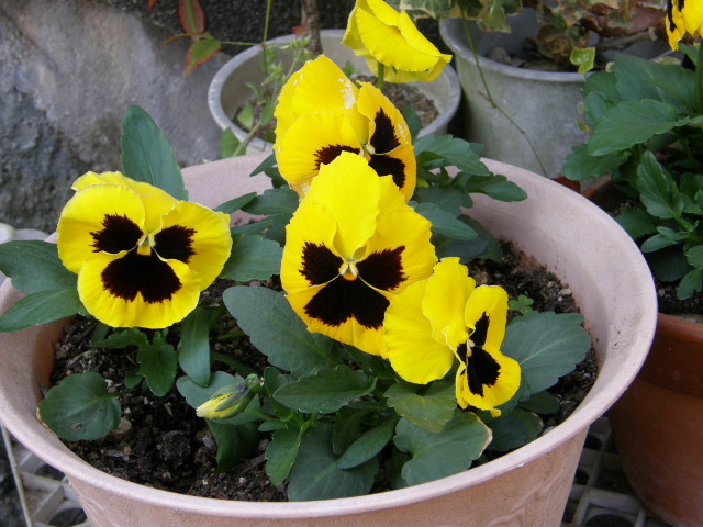 img0025.jpg