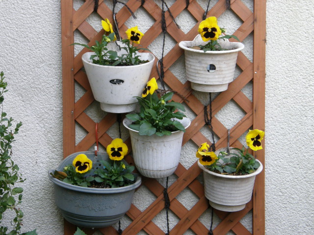 img0026.jpg