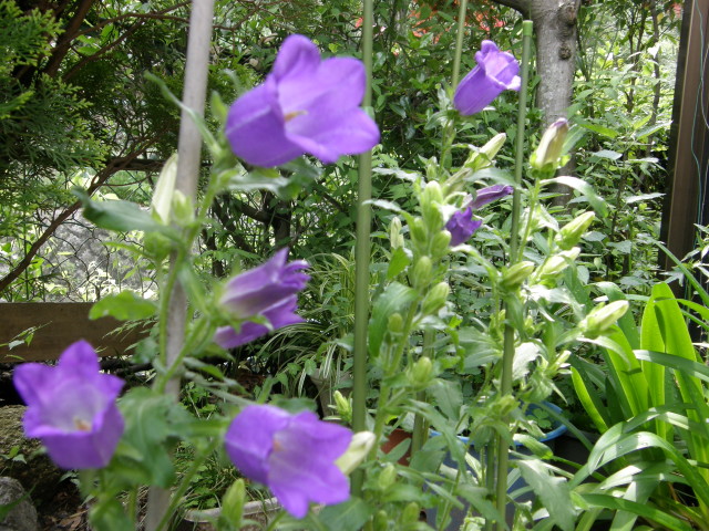 img0030.jpg