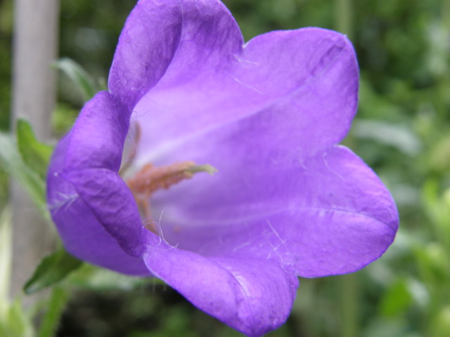 img0031.jpg