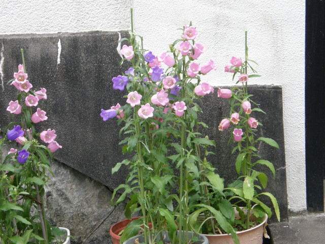 img0045.jpg