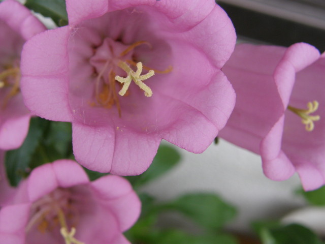 img0052.jpg