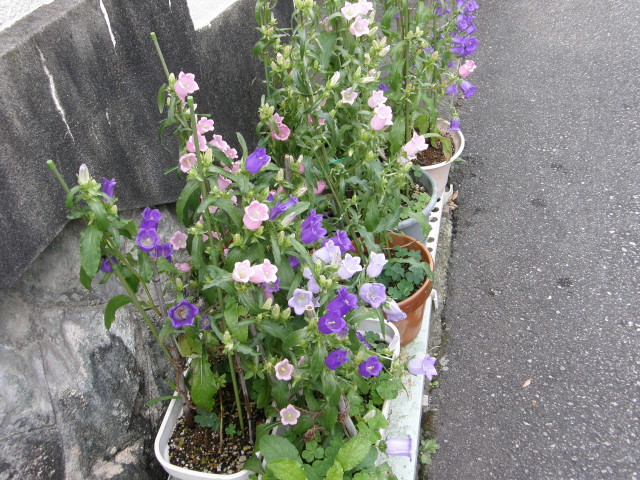 img0053.jpg