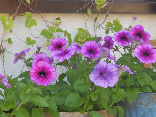 img0048.jpg