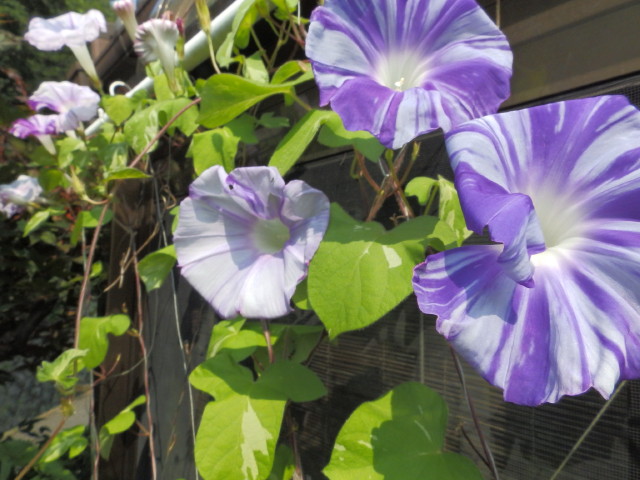 img0023.jpg
