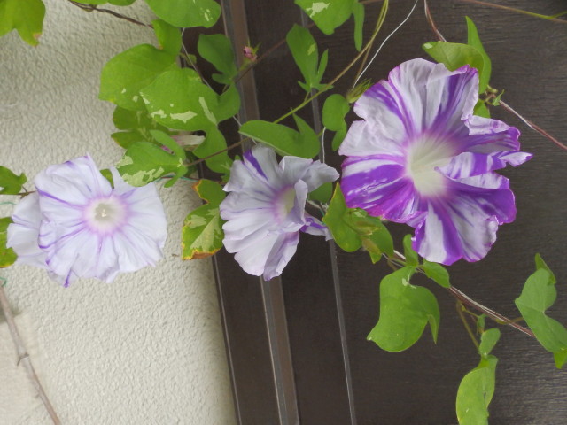 img0104.jpg