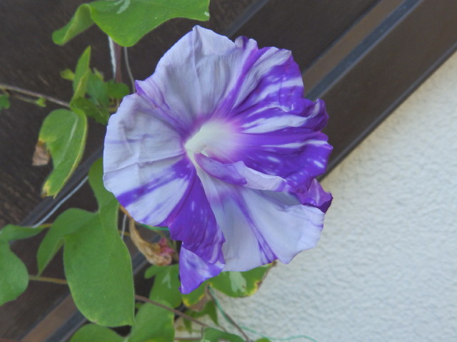 img0159.jpg