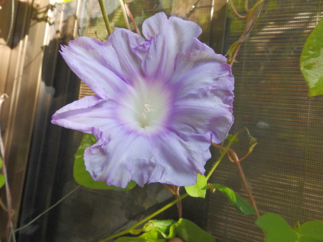 img0226.jpg