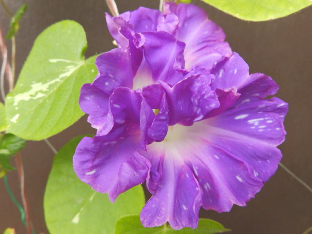 img0255.jpg
