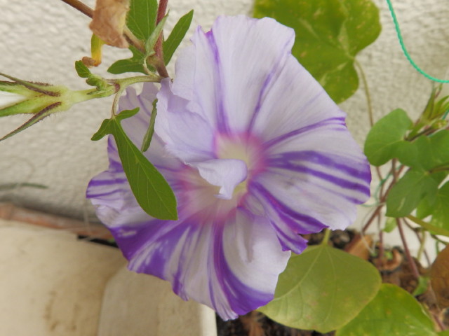 img0270.jpg