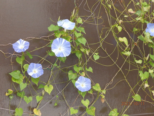 img0000.jpg