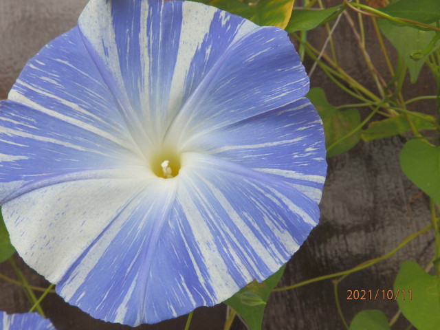 img0003.jpg