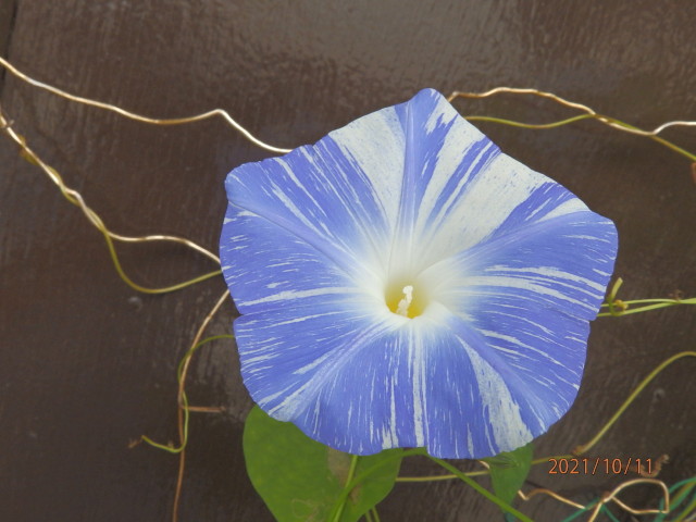 img0004.jpg