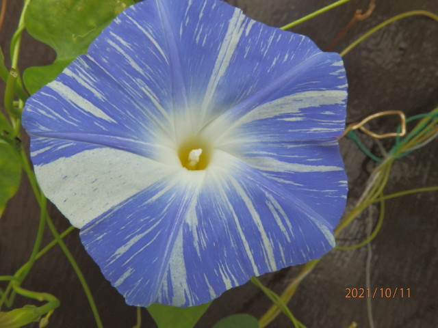img0007.jpg