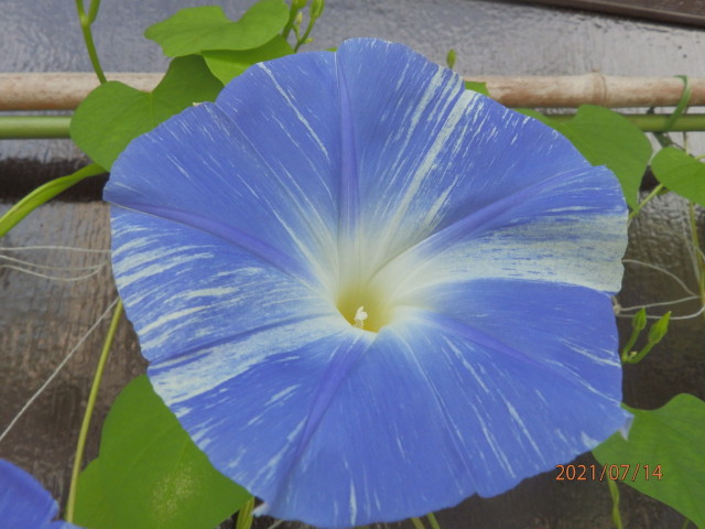 img0022.jpg