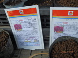 img0002.jpg