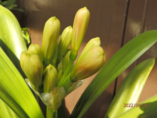 img0015.jpg