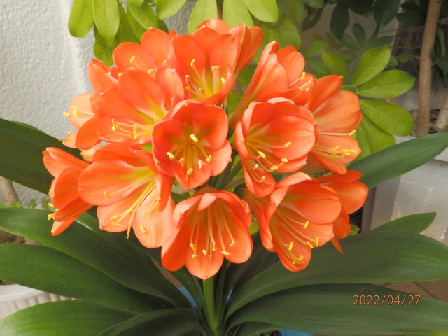 img0042.jpg