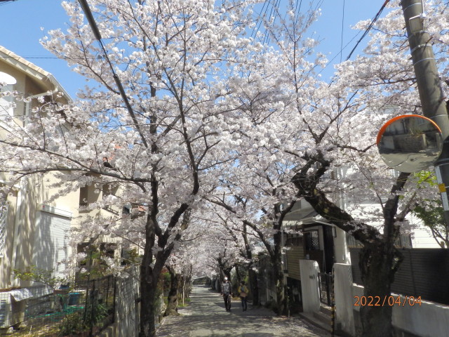 img0013.jpg