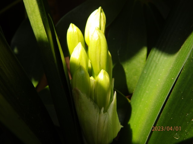 img0002.jpg