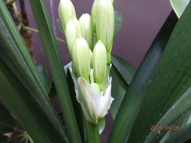img0004.jpg
