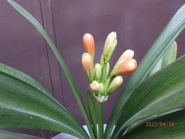 img0005.jpg