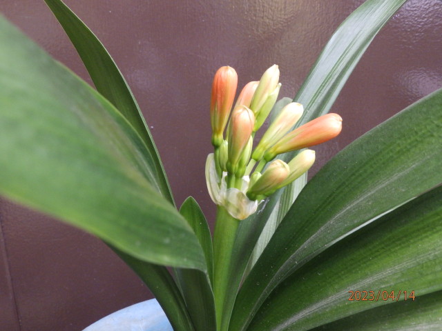 img0006.jpg