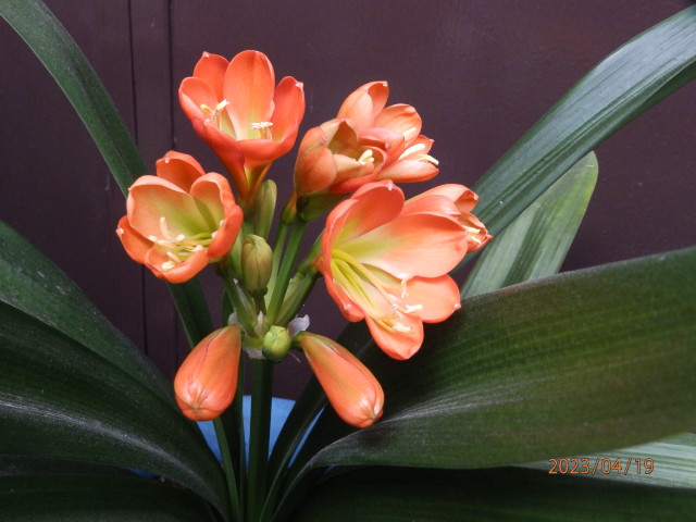 img0010.jpg