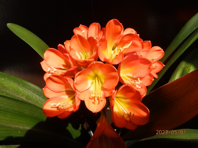 img0014.jpg