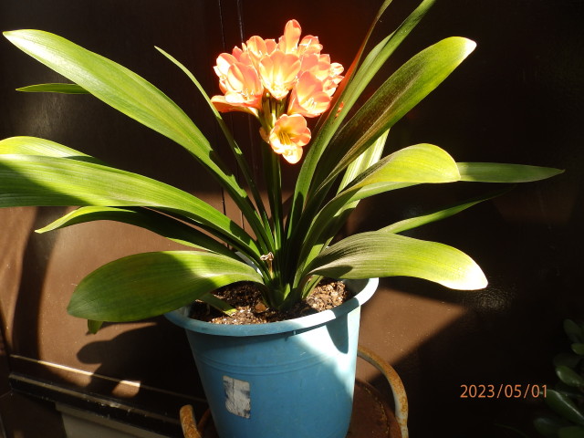 img0016.jpg