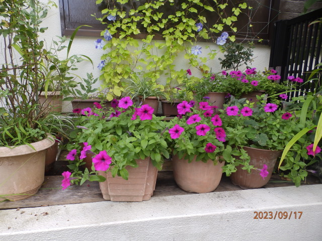 img0019.jpg