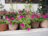 img0000.jpg