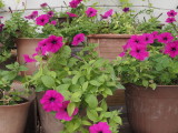 img0001.jpg