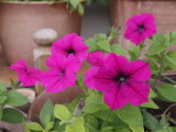 img0003.jpg