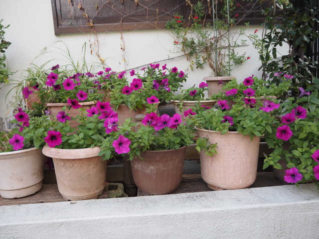 img0000.jpg