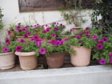 img0000.jpg