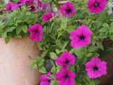 img0001.jpg