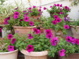img0004.jpg