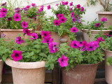 img0006.jpg