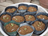 img0006.jpg