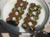 img0010.jpg