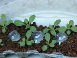 img0019.jpg