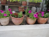 img0006.jpg