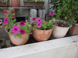 img0007.jpg