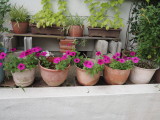 img0013.jpg