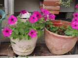 img0014.jpg
