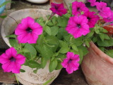 img0015.jpg