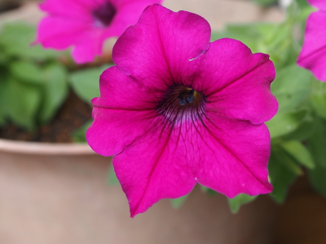 img0017.jpg
