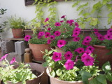 img0000.jpg