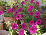 img0001.jpg